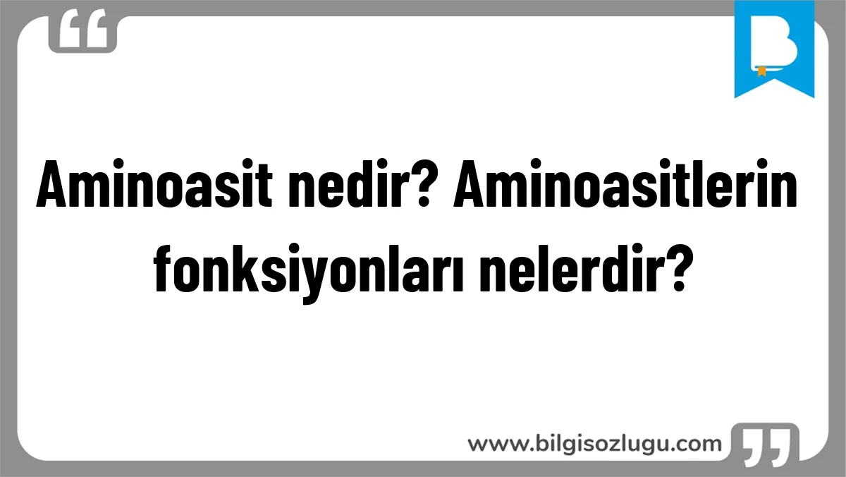 Aminoasit nedir? Aminoasitlerin fonksiyonları nelerdir?