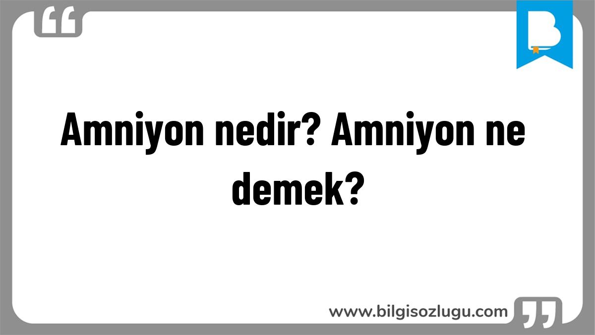 Amniyon nedir? Amniyon ne demek?