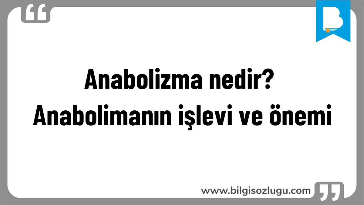 Anabolizma nedir? Anabolimanın işlevi ve önemi