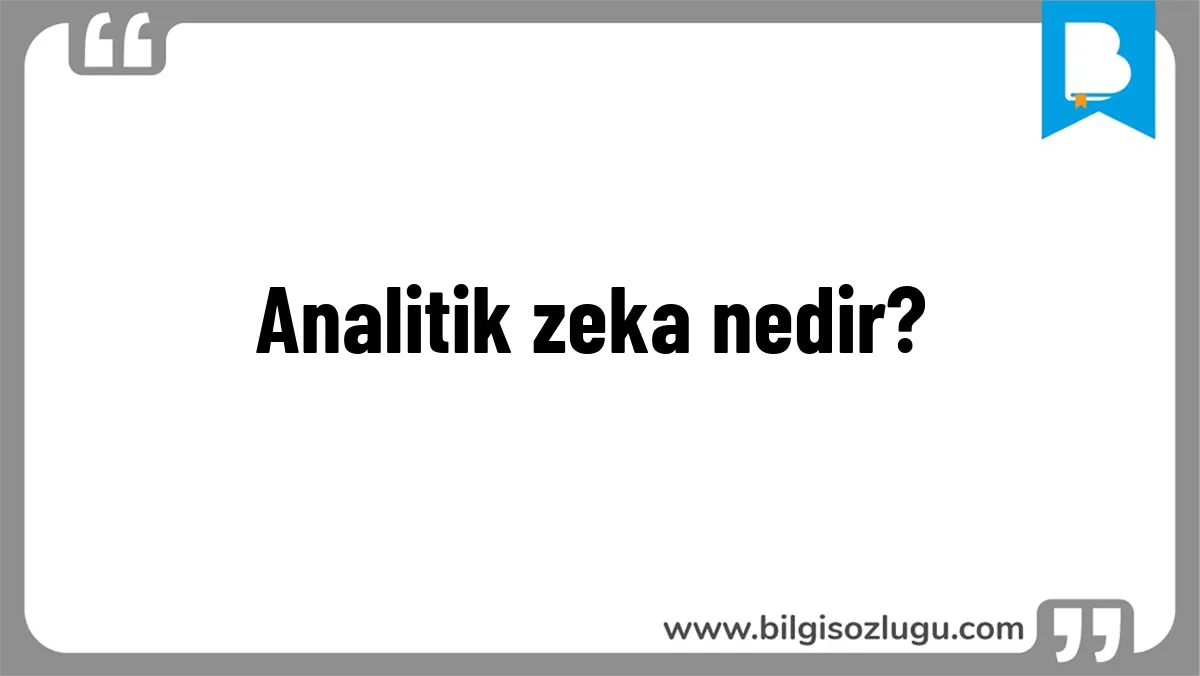 Analitik zeka nedir?