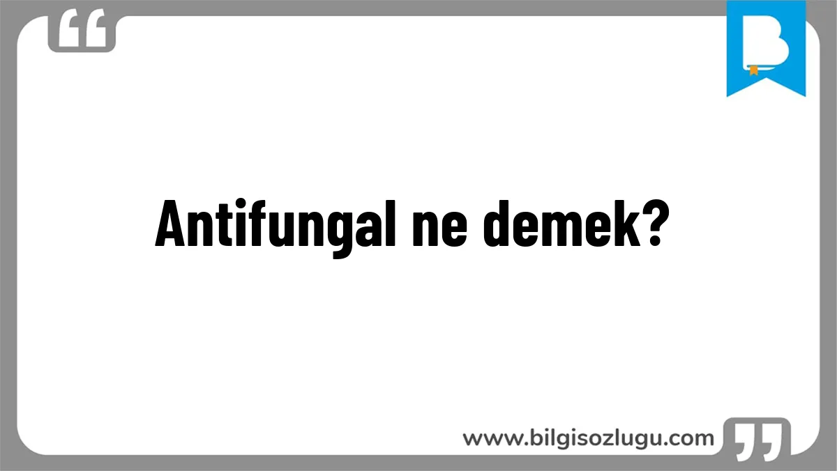 Antifungal ne demek?