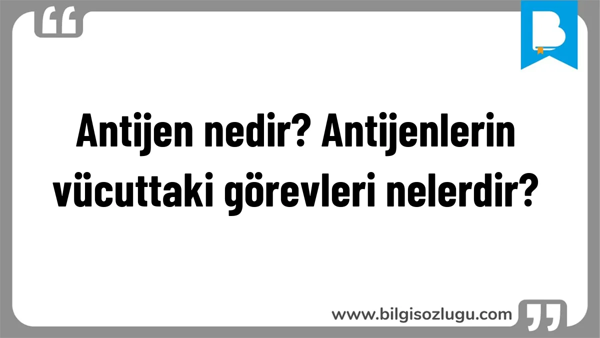 Antijen nedir? Antijenlerin vücuttaki görevleri nelerdir? 