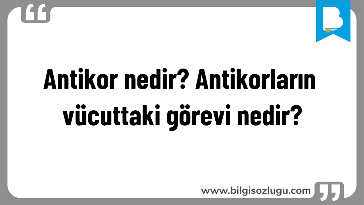Antikor nedir? Antikorların vücuttaki görevi nedir?