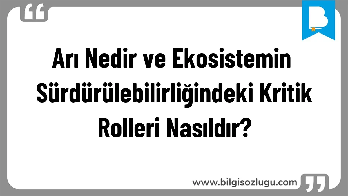 Arı Nedir ve Ekosistemin Sürdürülebilirliğindeki Kritik Rolleri Nasıldır?