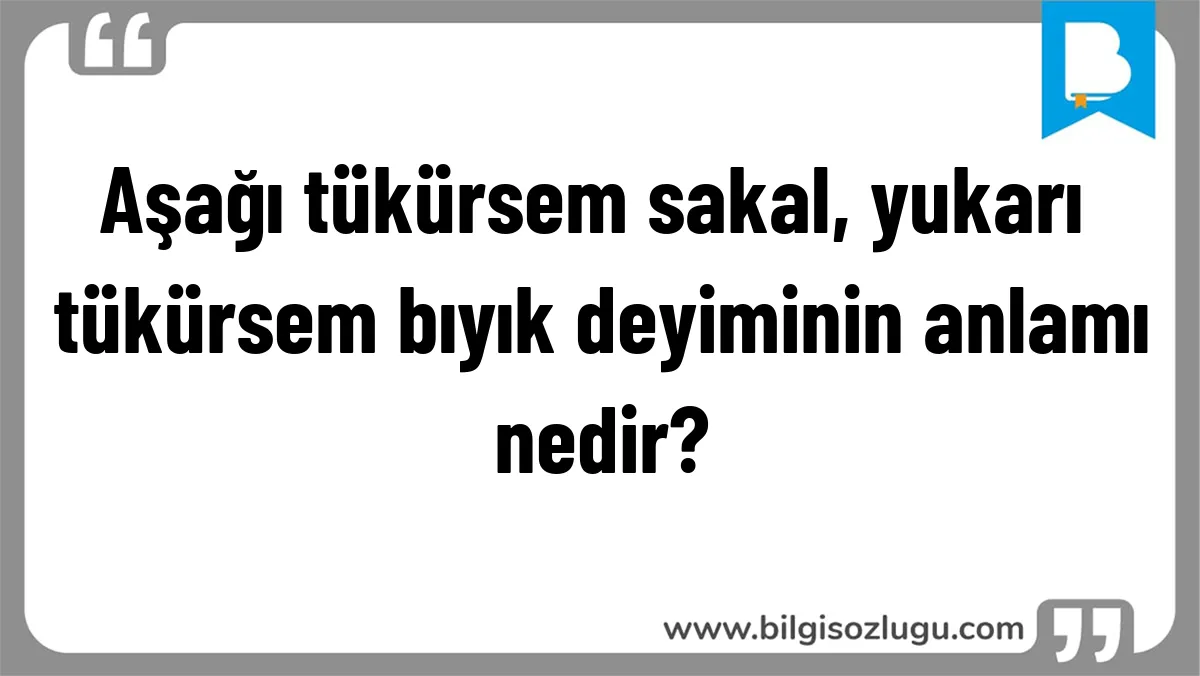 Aşağı tükürsem sakal, yukarı tükürsem bıyık deyiminin anlamı nedir?