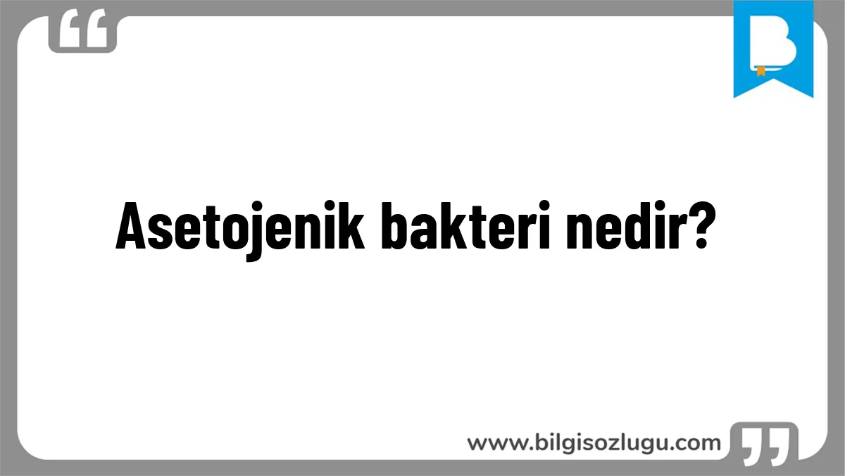 Asetojenik bakteri nedir?
