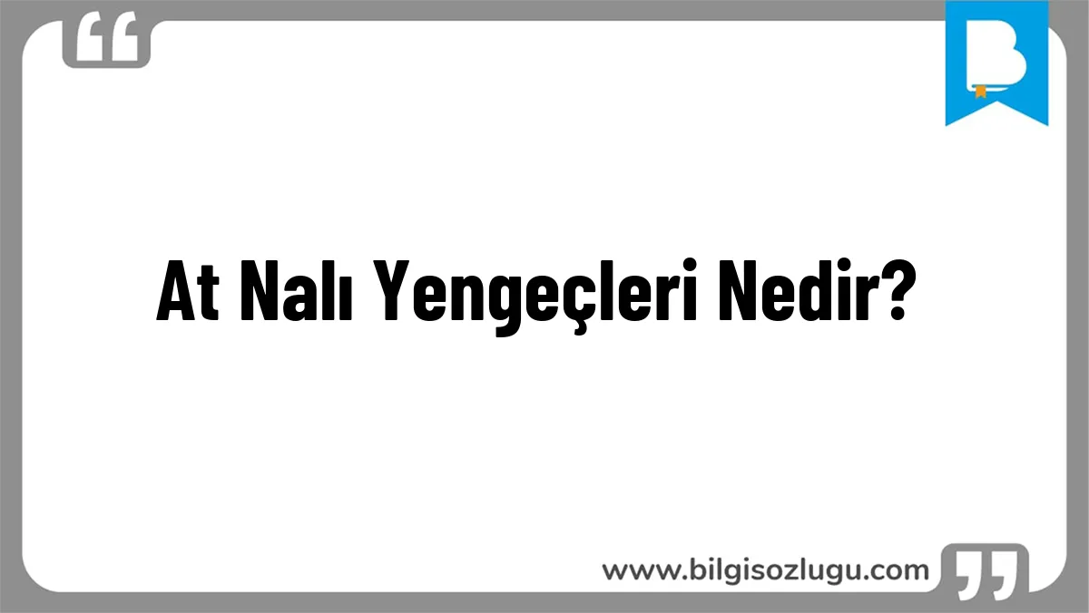 At Nalı Yengeçleri Nedir?