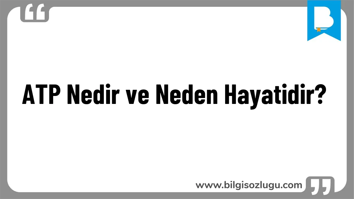 ATP Nedir ve Neden Hayatidir?