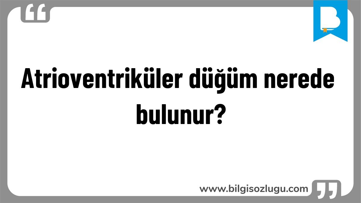 Atrioventriküler düğüm nerede bulunur?