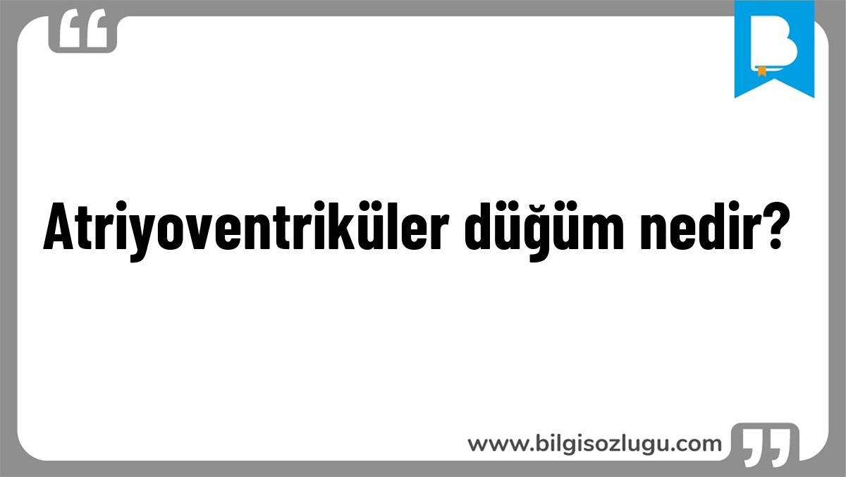 Atriyoventriküler düğüm nedir?
