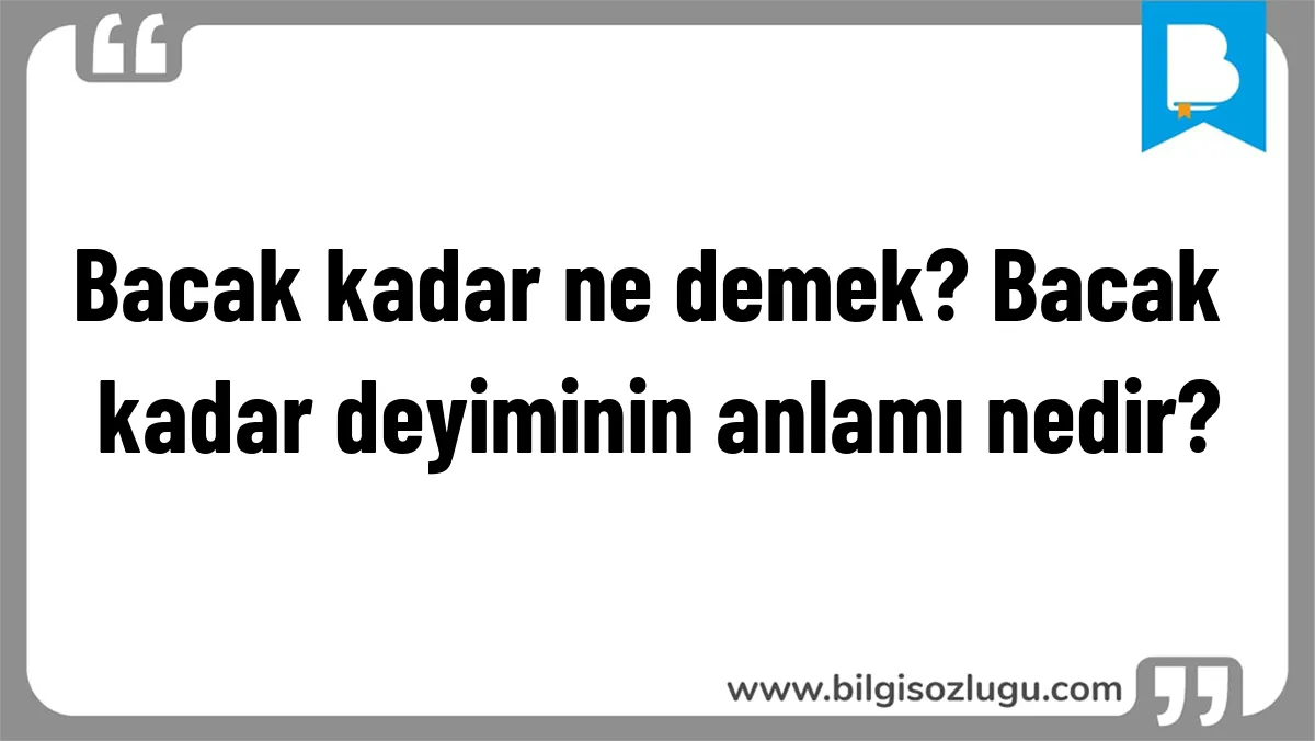 Bacak kadar ne demek? Bacak kadar deyiminin anlamı nedir?