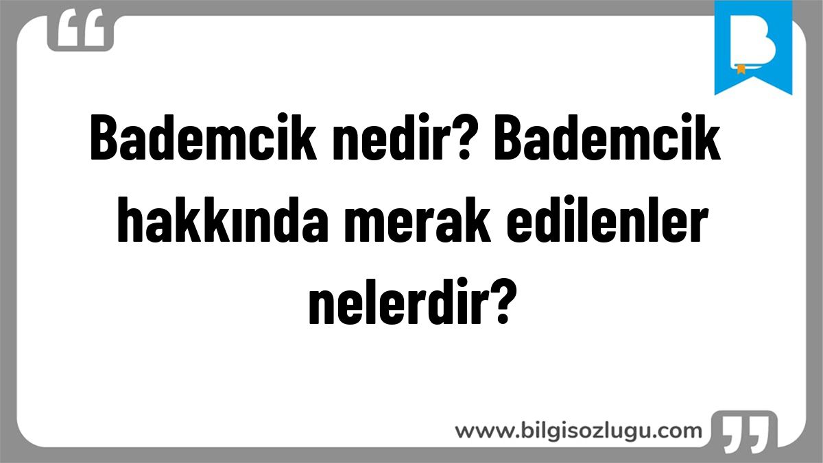 Bademcik nedir? Bademcik hakkında merak edilenler nelerdir?
