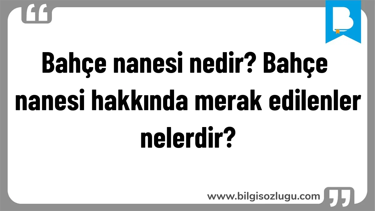 Bahçe nanesi nedir? Bahçe nanesi hakkında merak edilenler nelerdir?