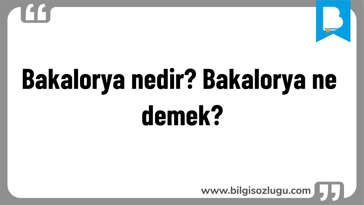 Bakalorya nedir? Bakalorya ne demek?