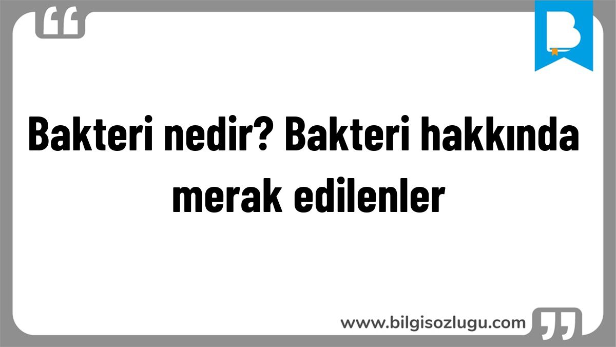 Bakteri nedir? Bakteri hakkında merak edilenler