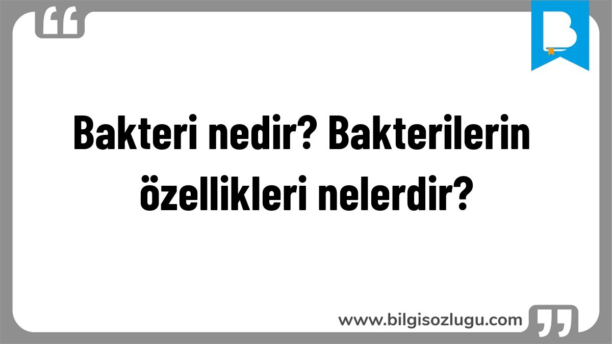Bakteri nedir? Bakterilerin özellikleri nelerdir?