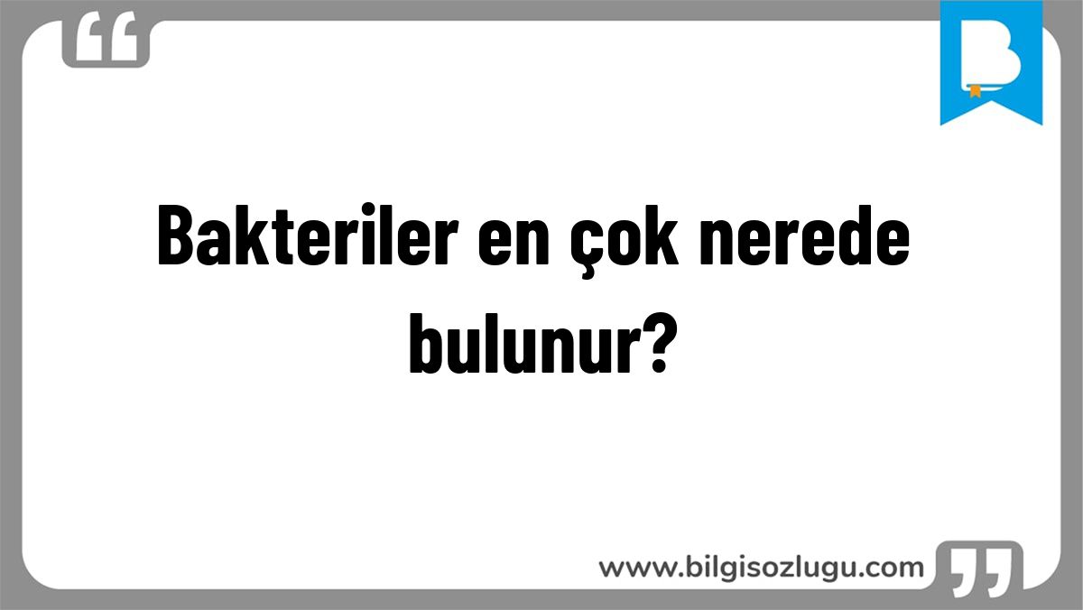 Bakteriler en çok nerede bulunur?