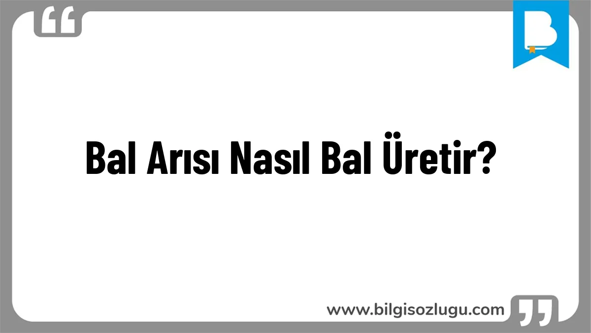 Bal Arısı Nasıl Bal Üretir?