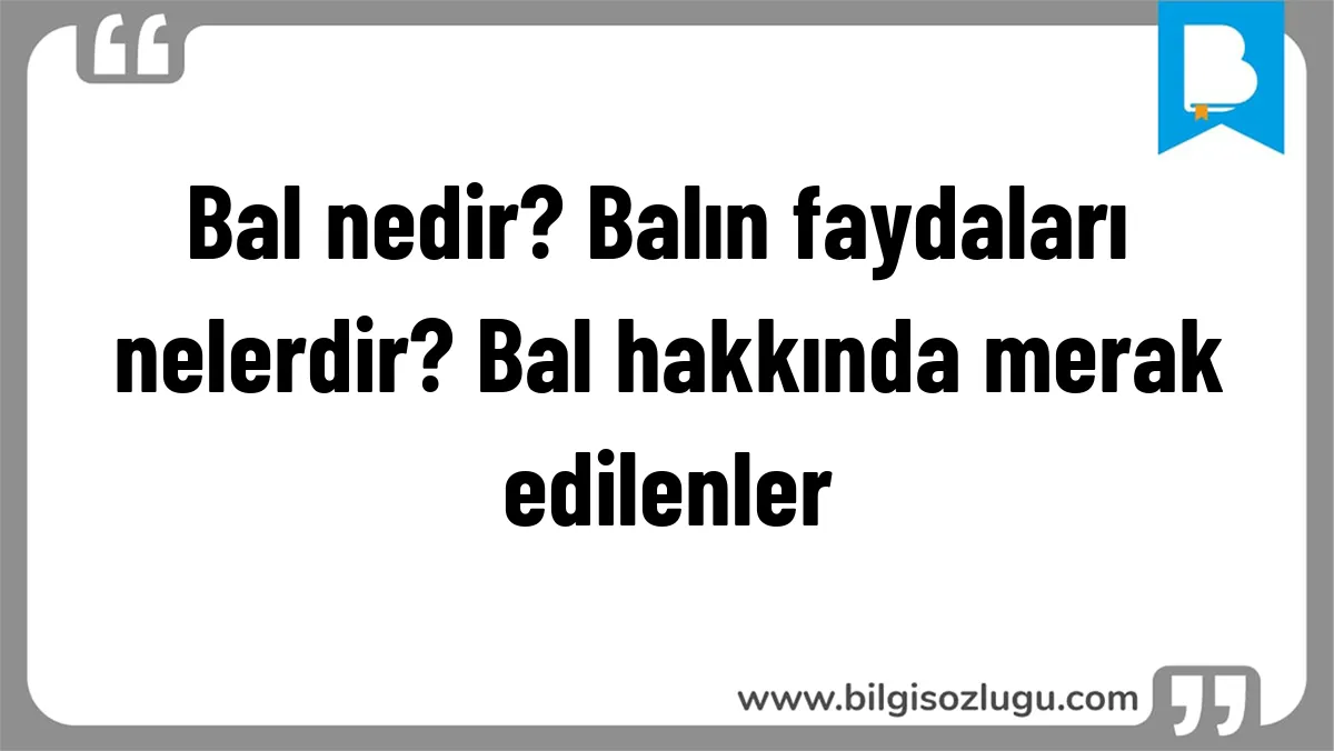 Bal nedir? Balın faydaları nelerdir? Bal hakkında merak edilenler