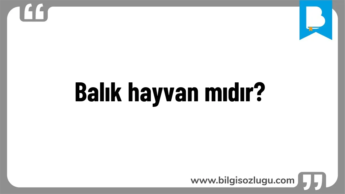 Balık hayvan mıdır?