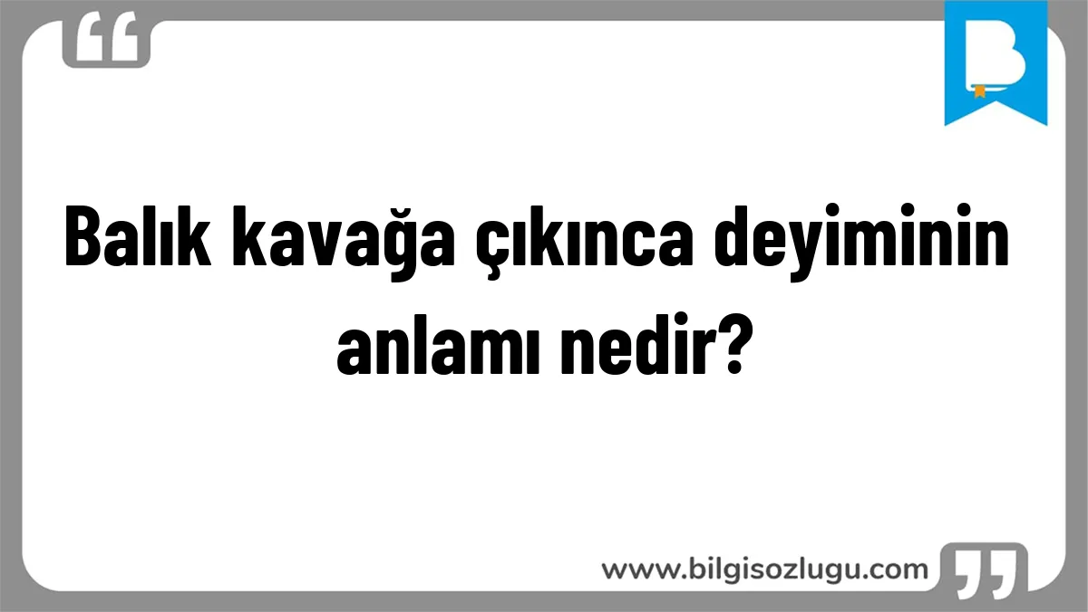 Balık kavağa çıkınca deyiminin anlamı nedir?