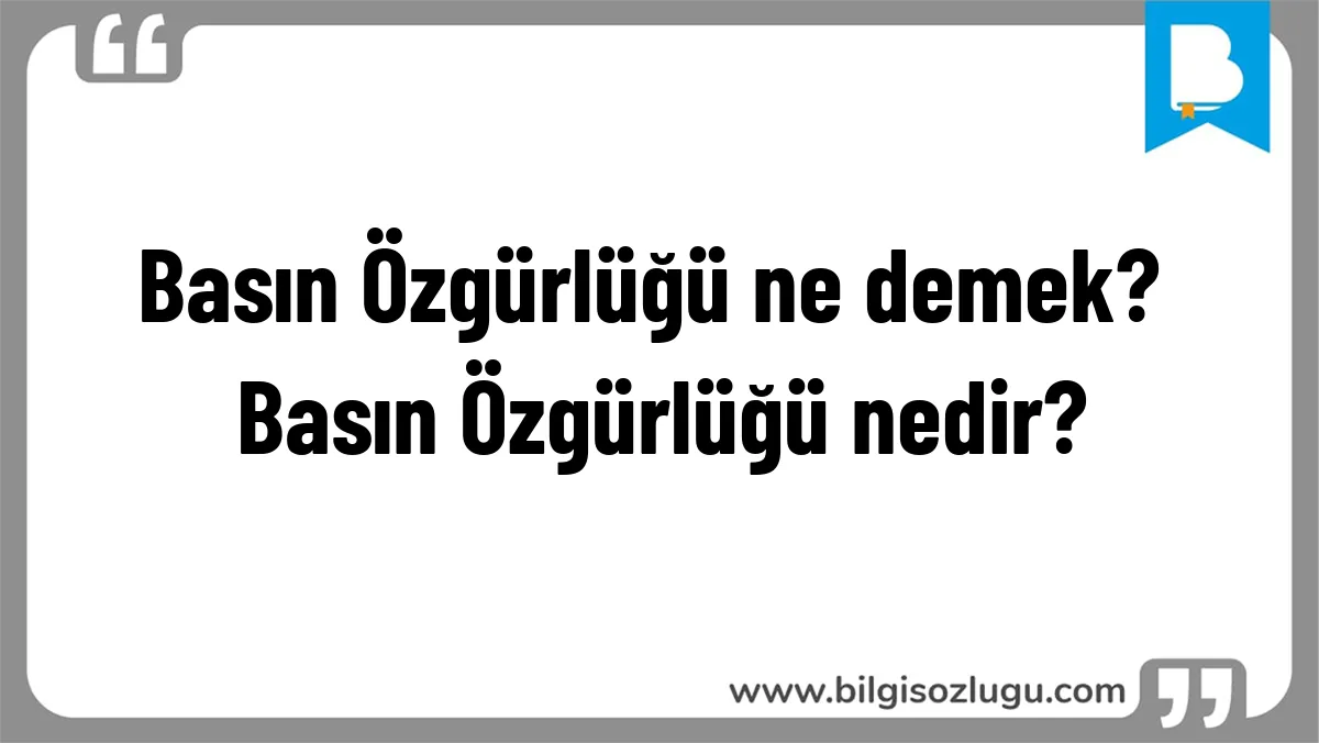 Basın Özgürlüğü ne demek? Basın Özgürlüğü nedir?