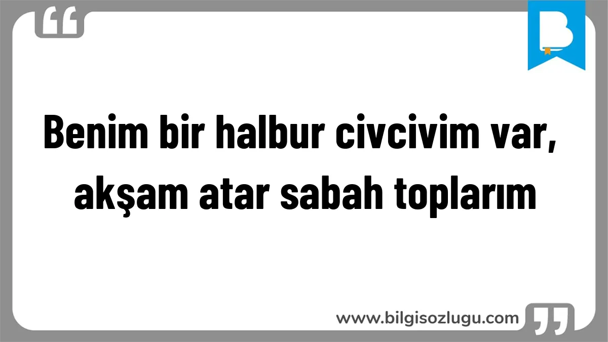 Benim bir halbur civcivim var, akşam atar sabah toplarım