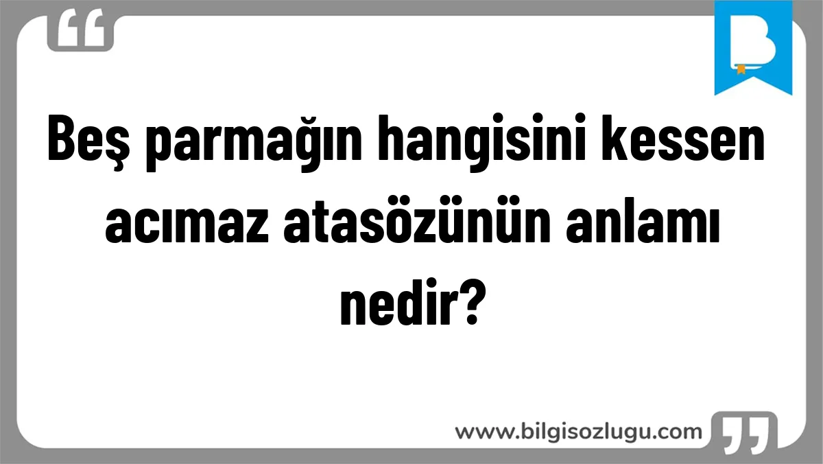 Beş parmağın hangisini kessen acımaz atasözünün anlamı nedir?