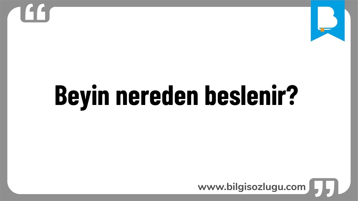 Beyin nereden beslenir?