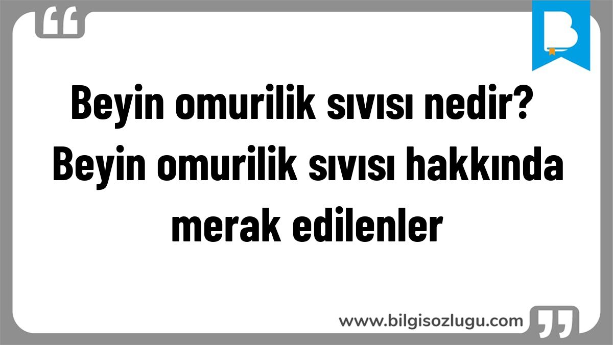 Beyin omurilik sıvısı nedir? Beyin omurilik sıvısı hakkında merak edilenler