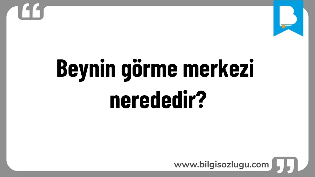 Beynin görme merkezi nerededir?