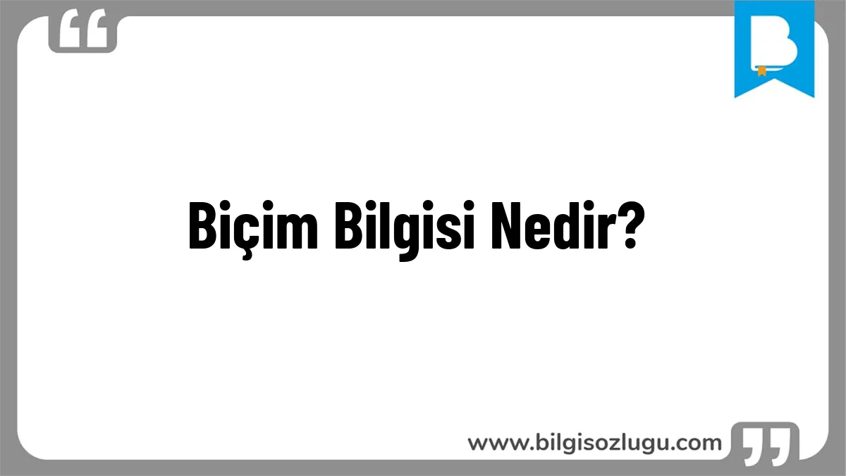 Biçim Bilgisi Nedir?