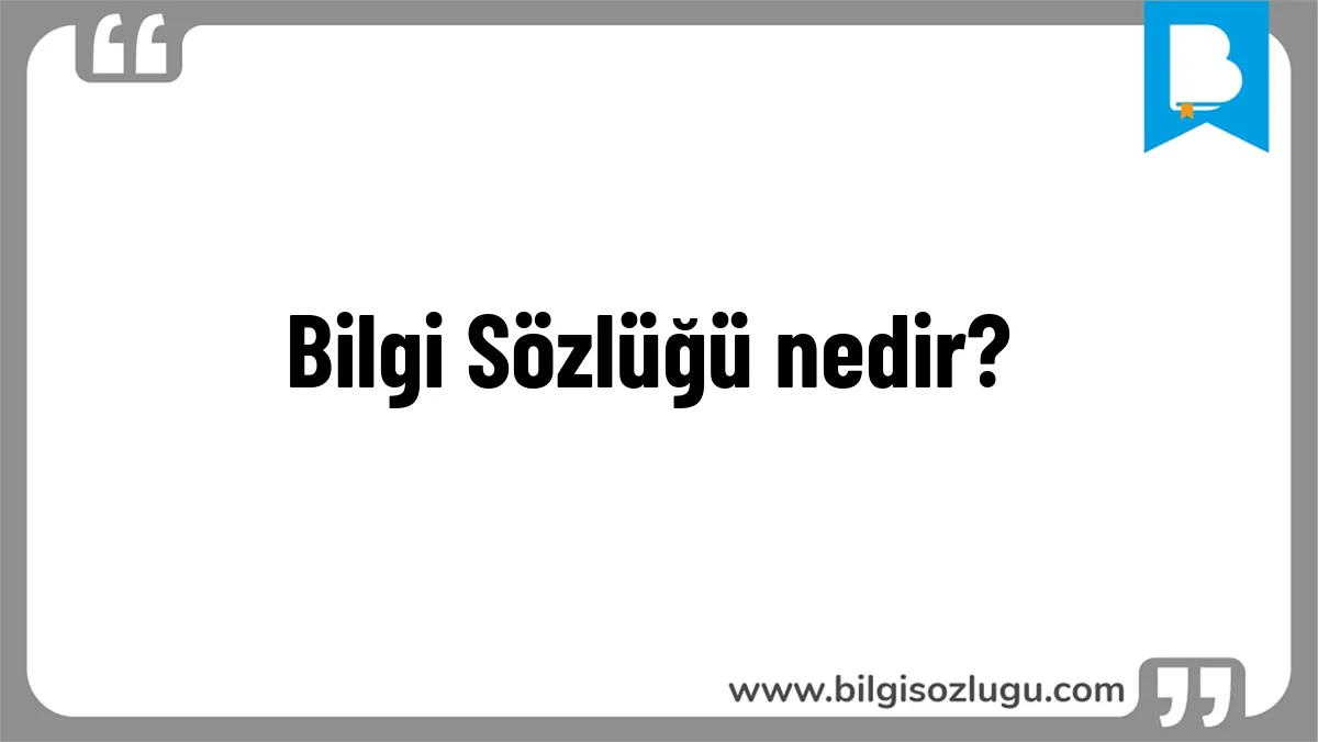 Bilgi Sözlüğü nedir?