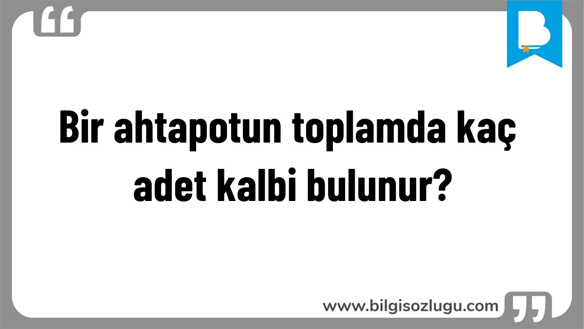 Bir ahtapotun toplamda kaç adet kalbi bulunur?