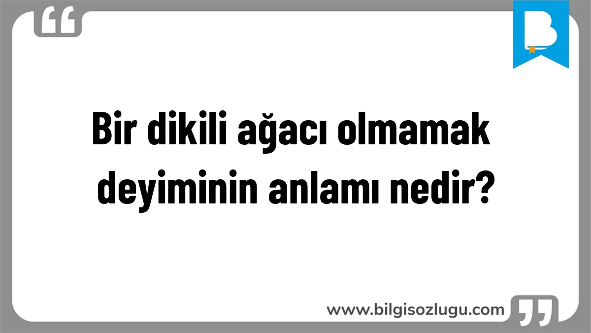 Bir dikili ağacı olmamak deyiminin anlamı nedir?