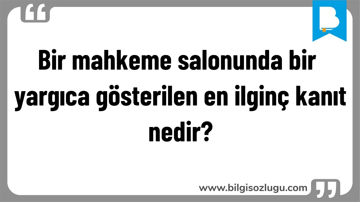 Bir mahkeme salonunda bir yargıca gösterilen en ilginç kanıt nedir?