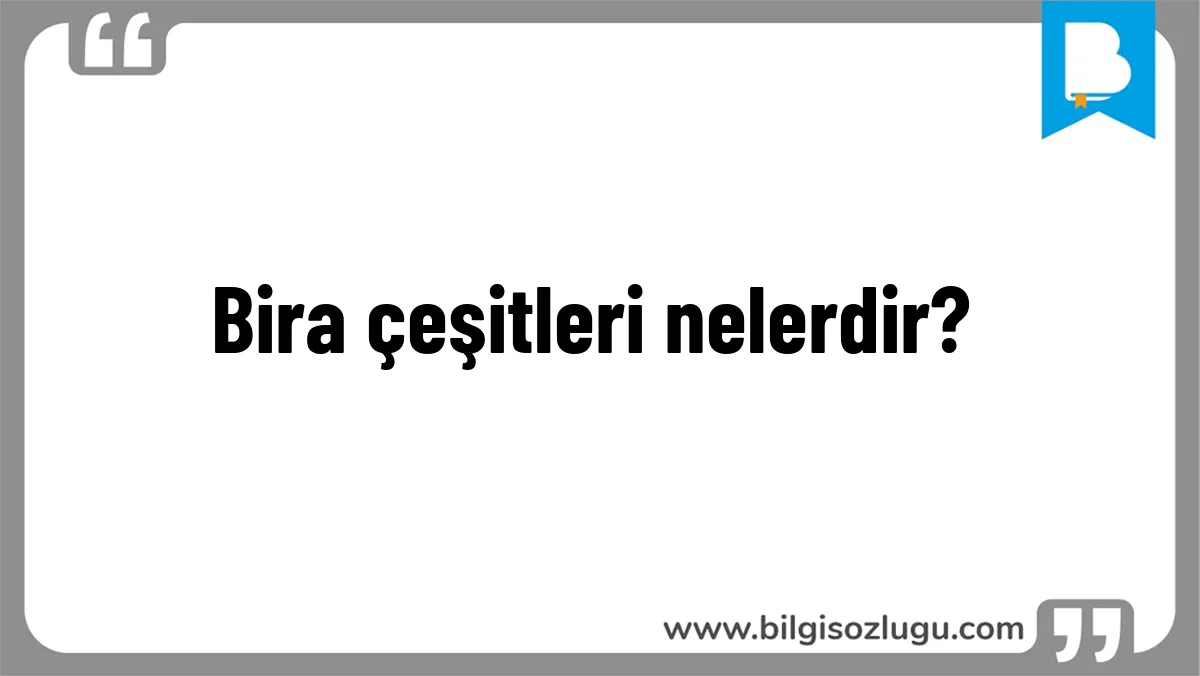 Bira çeşitleri nelerdir?