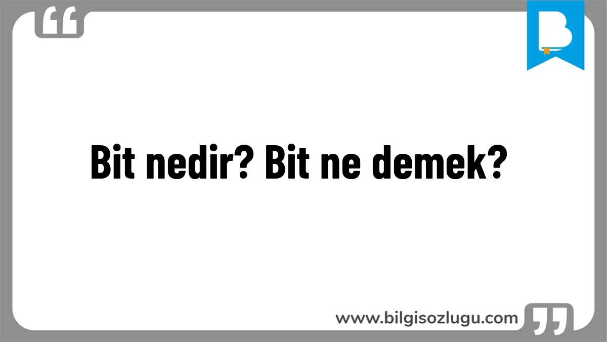 Bit nedir? Bit ne demek?