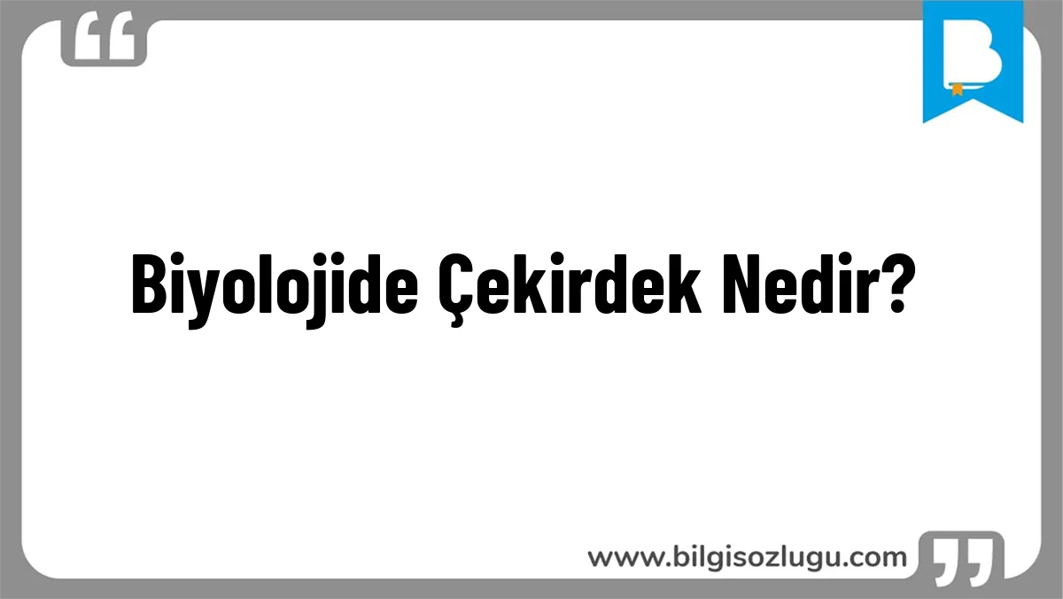 Biyolojide Çekirdek Nedir?