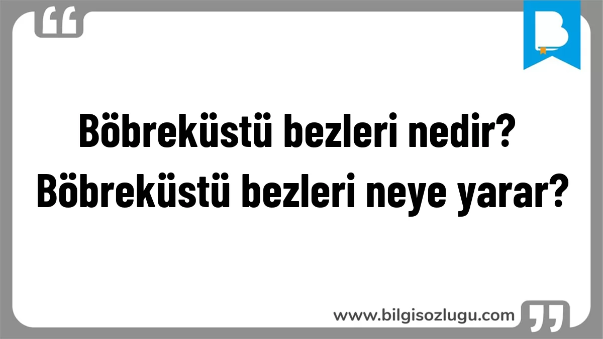 Böbreküstü bezleri nedir? Böbreküstü bezleri neye yarar?
