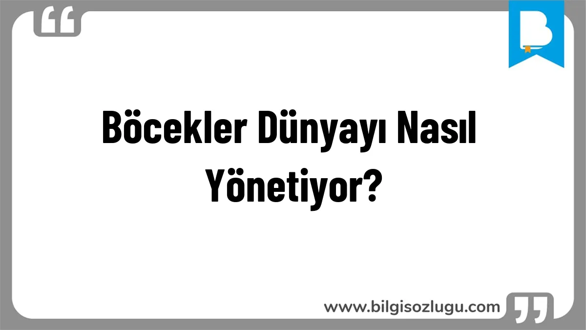 Böcekler Dünyayı Nasıl Yönetiyor?