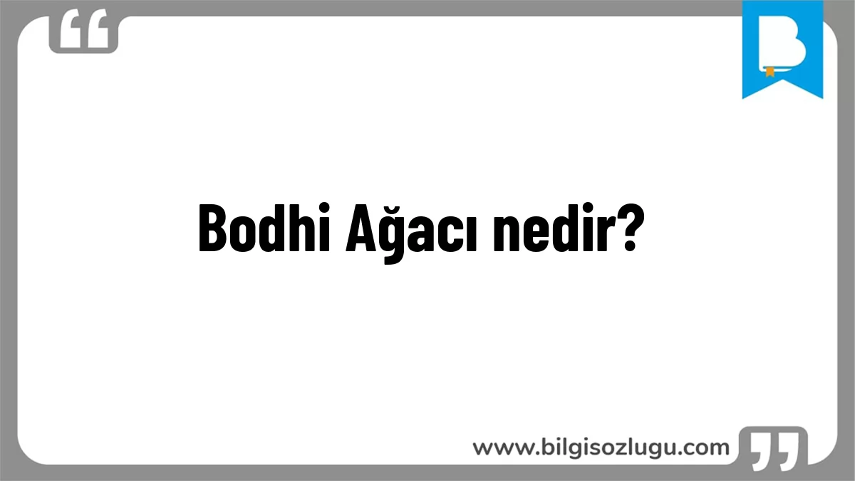 Bodhi Ağacı nedir?