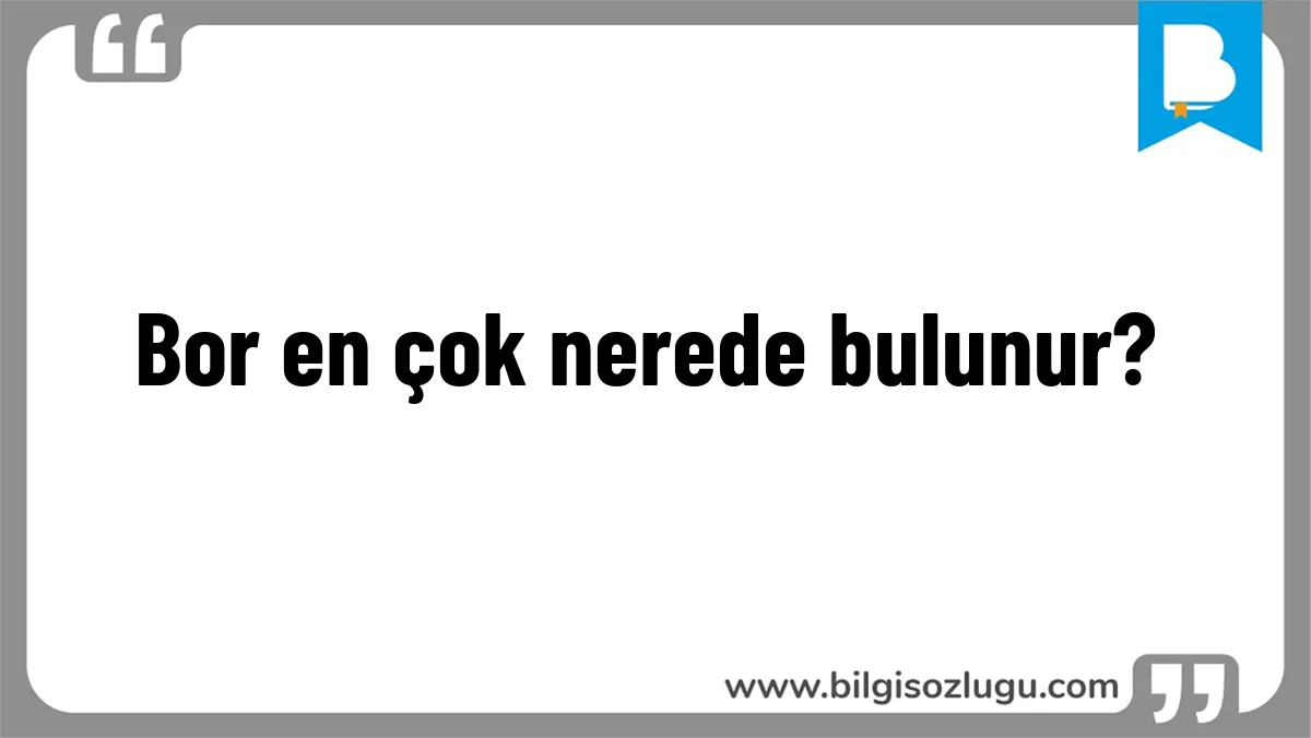 Bor en çok nerede bulunur?