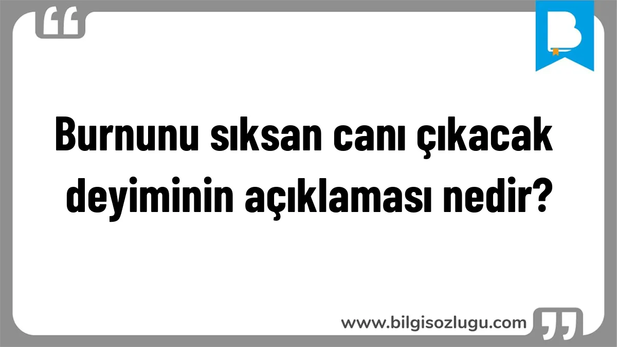 Burnunu sıksan canı çıkacak deyiminin açıklaması nedir?