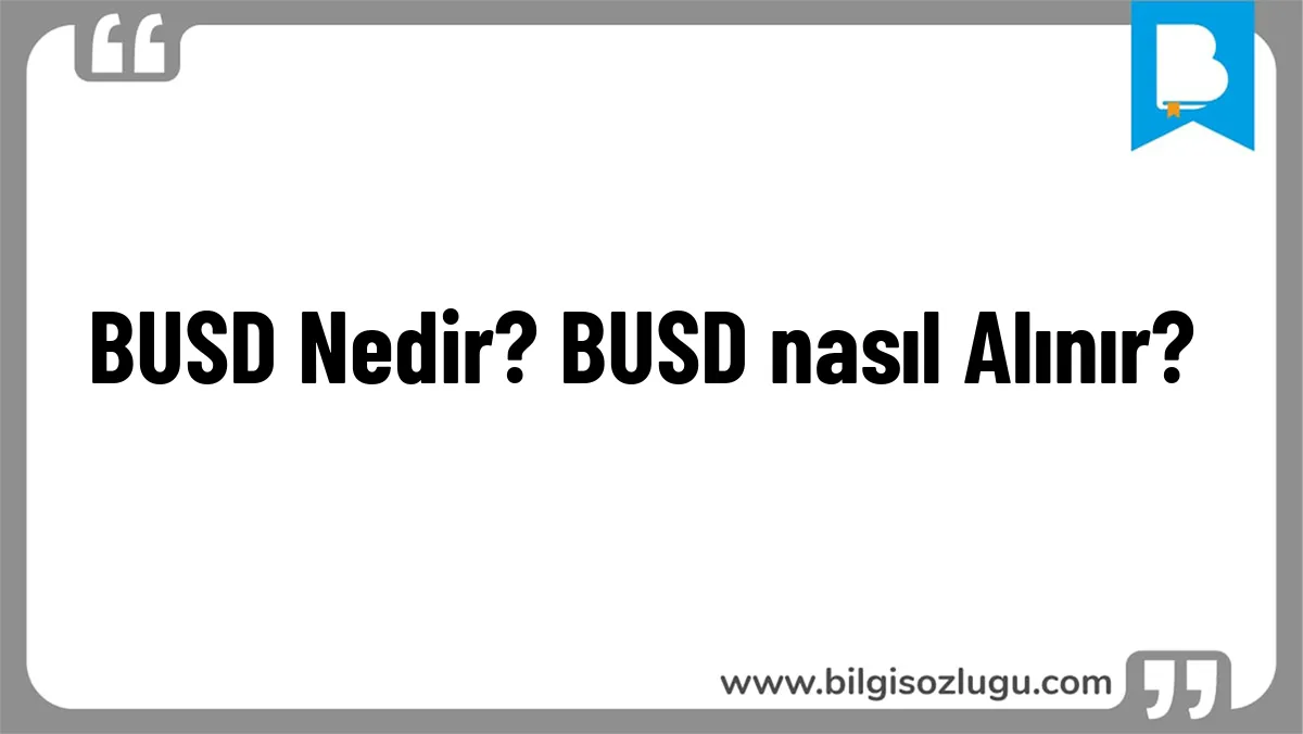 BUSD Nedir? BUSD nasıl Alınır?