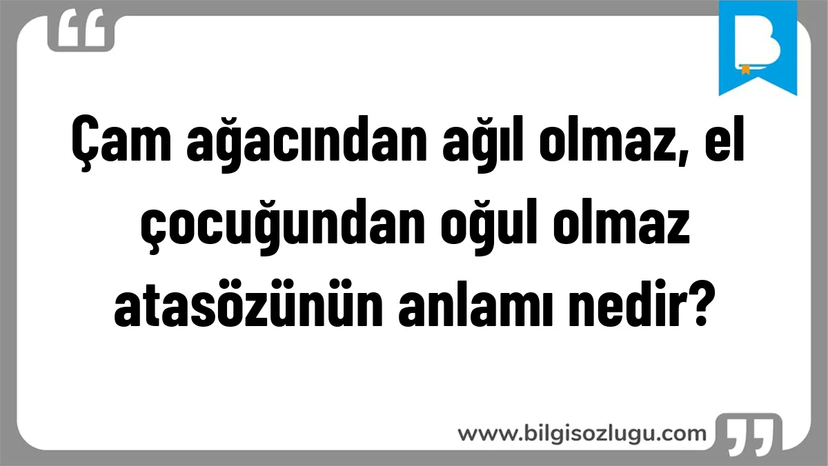 Çam ağacından ağıl olmaz, el çocuğundan oğul olmaz atasözünün anlamı nedir?