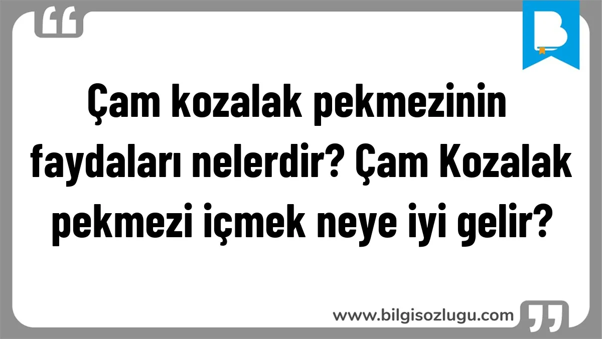 Çam kozalak pekmezinin faydaları nelerdir? Çam Kozalak pekmezi içmek neye iyi gelir?