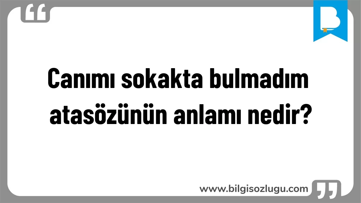 Canımı sokakta bulmadım atasözünün anlamı nedir?