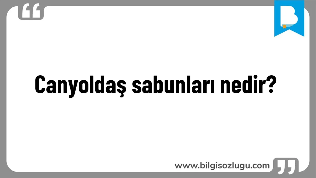 Canyoldaş sabunları nedir?
