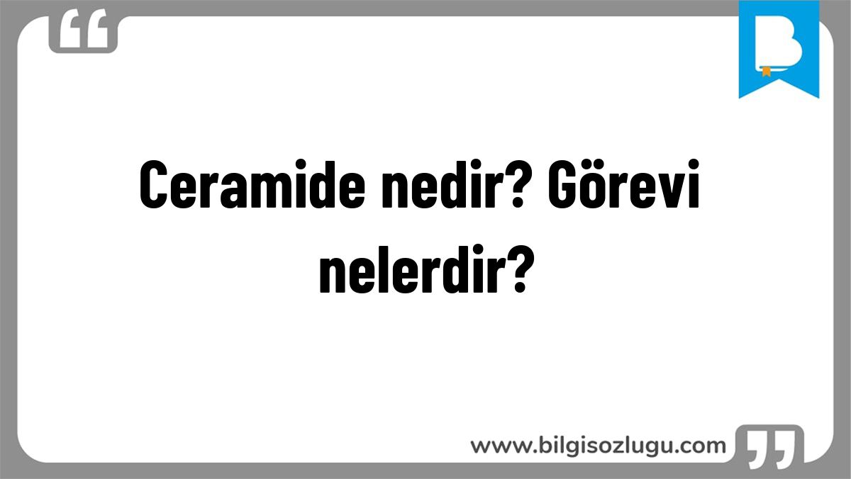 Ceramide nedir? Görevi nelerdir?